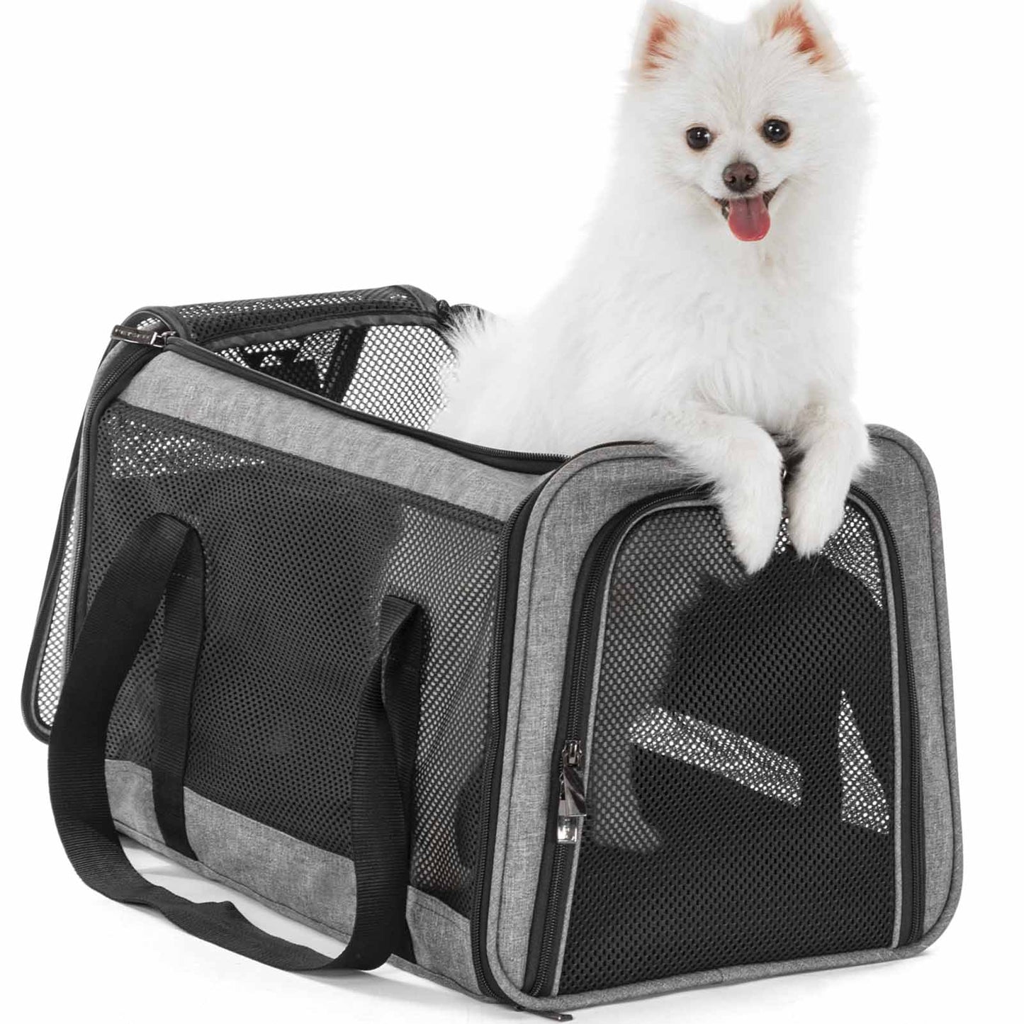 Cat Soft Carrier,Pet Carrier Airline Approved Soft-Sided Bag fit Small and  Medium Cat and Dog Up to 17lbs Pets for Travel with Rolling-up Curtain Grey