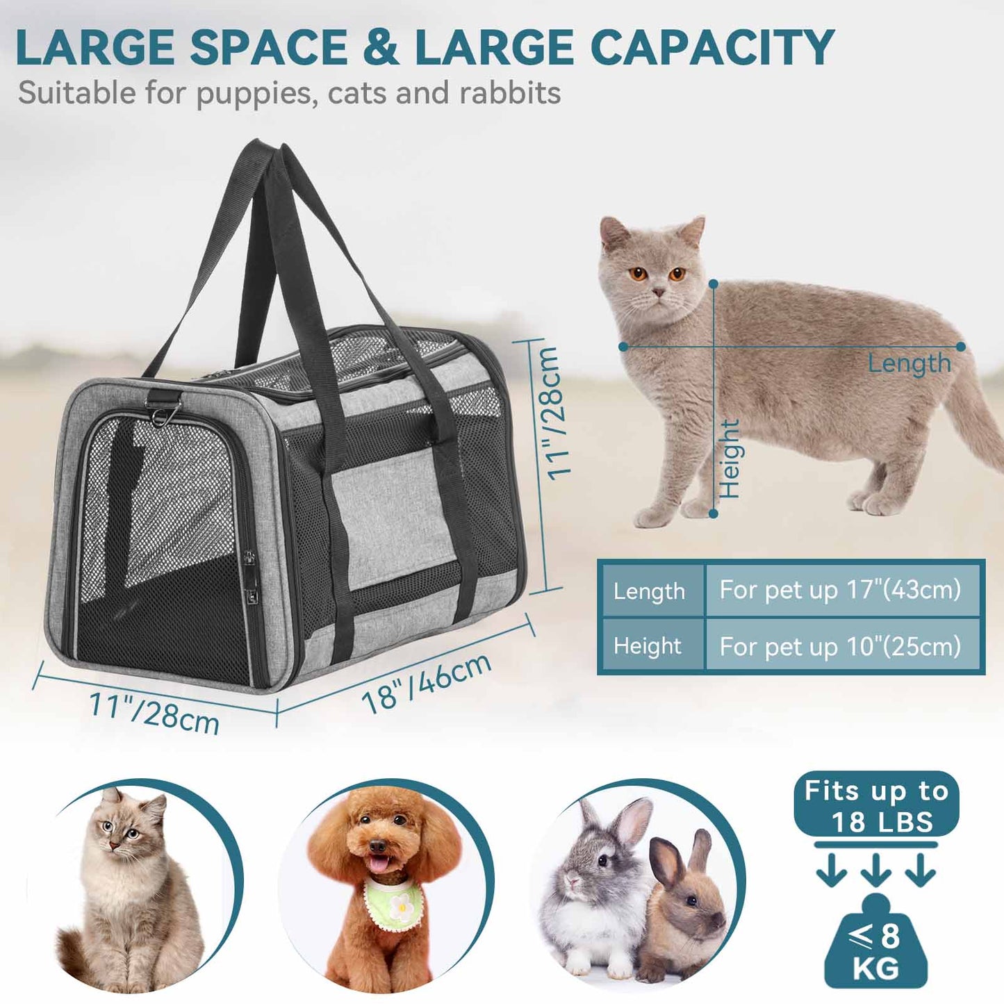 Petsfit-Large-Capacity-Lightweight-Washable-Soft-Sided-Pet-Travel-Carrier-03